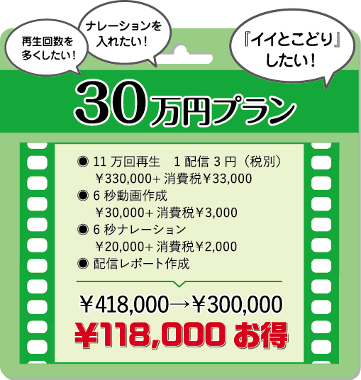 30万円プラン