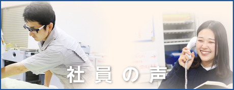 社員の声